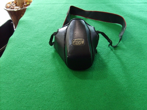 [ũ⺯ȯ]S5003760.jpg
