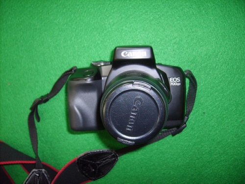 [ũ⺯ȯ]S5003761.jpg