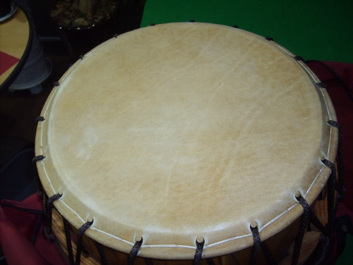[ũ⺯ȯ]S5006491.jpg