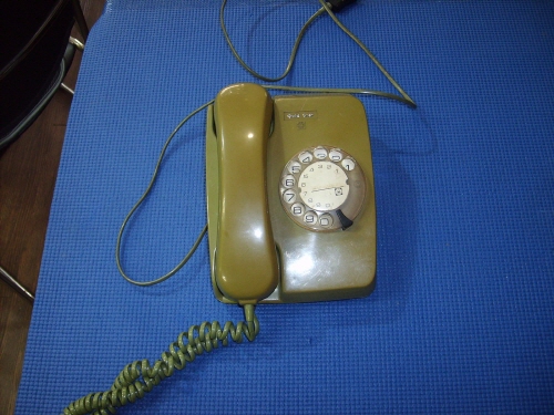 [ũ⺯ȯ]S5001521.jpg