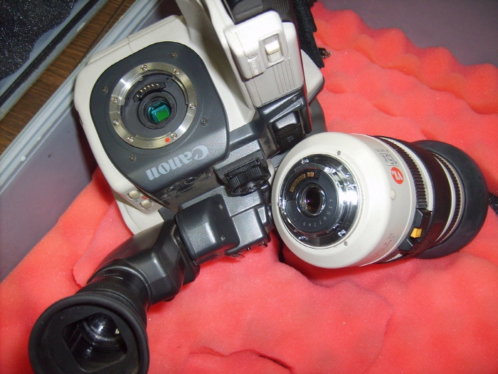 [ũ⺯ȯ]S5004918.jpg