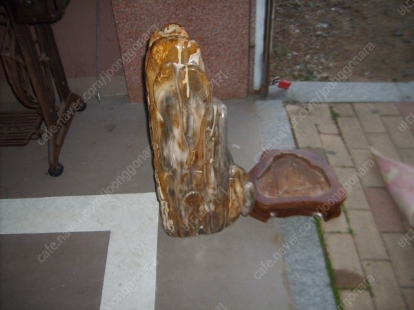 ũ⺯ȯS5003892.jpg