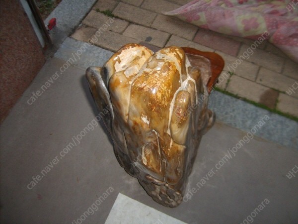 ũ⺯ȯS5003893.jpg