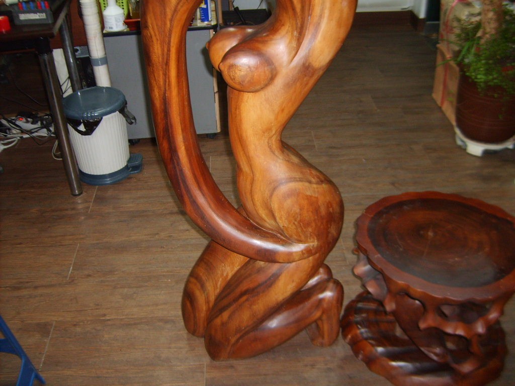 S5003358.jpg