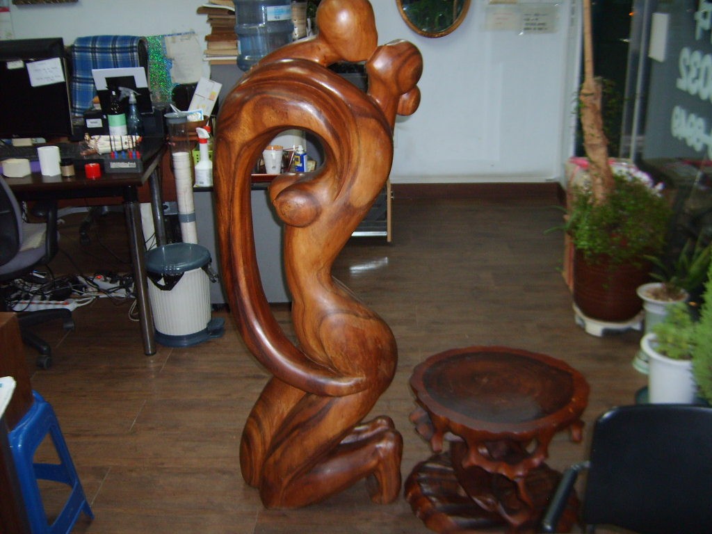 S5003356.jpg