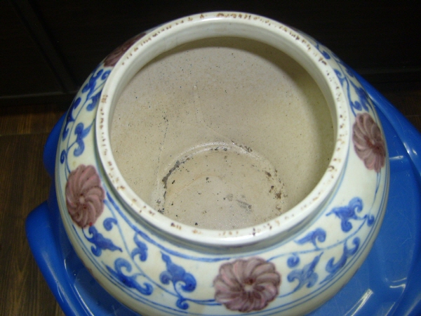 [ũ⺯ȯ][ũ⺯ȯ]S7001019.jpg