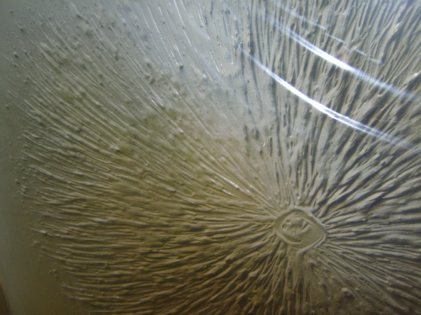 [ũ⺯ȯ]S7000148.JPG